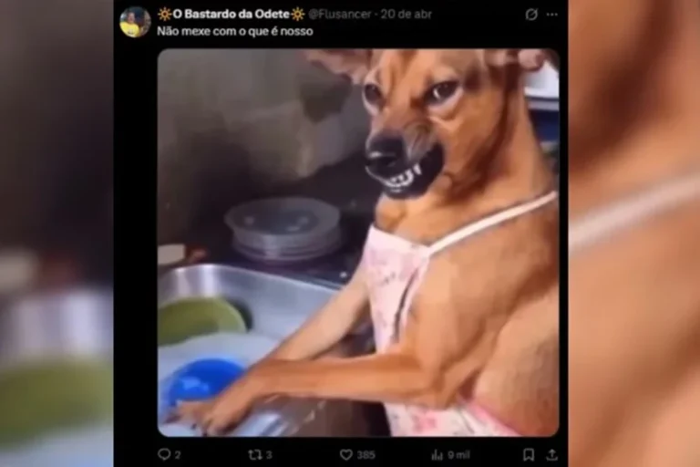 Decisão oficializa cachorro caramelo como raça mexicana e provoca reação no Brasil