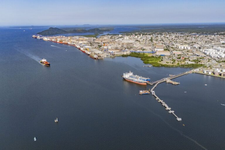 Porto de Paranaguá supera recorde com 386,3 mil toneladas de óleo de soja no primeiro trimestre