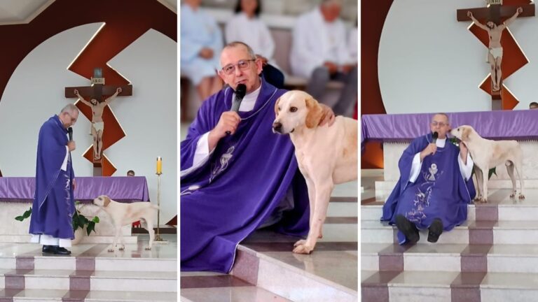 Cachorro caoroinha conquista padre ao frequentar missas no Paraná