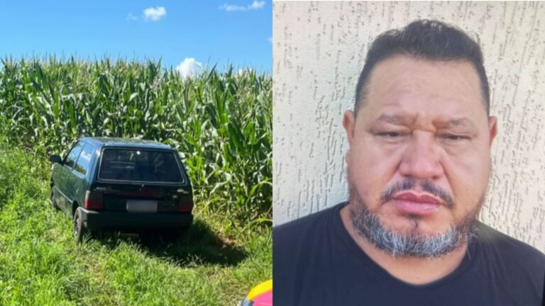 Homem fica gravemente ferido após queda de árvore ao observar aves