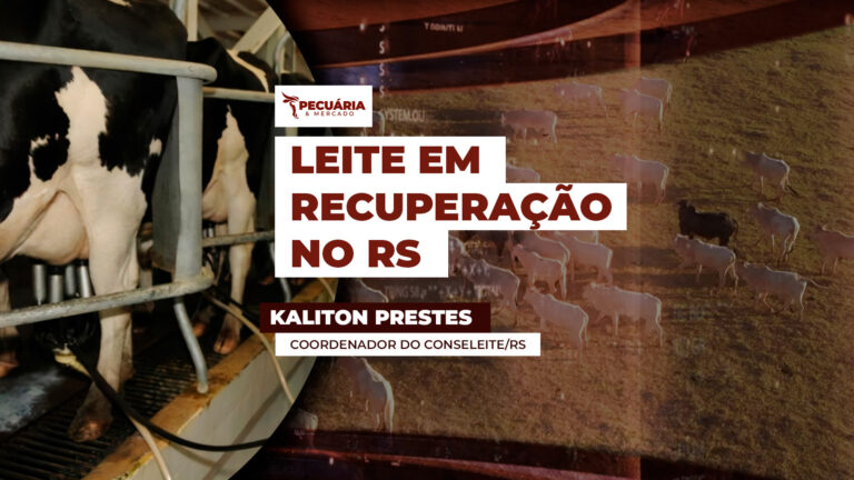Conseleite do RS projeta alta de 10% no preço do leite para abril
