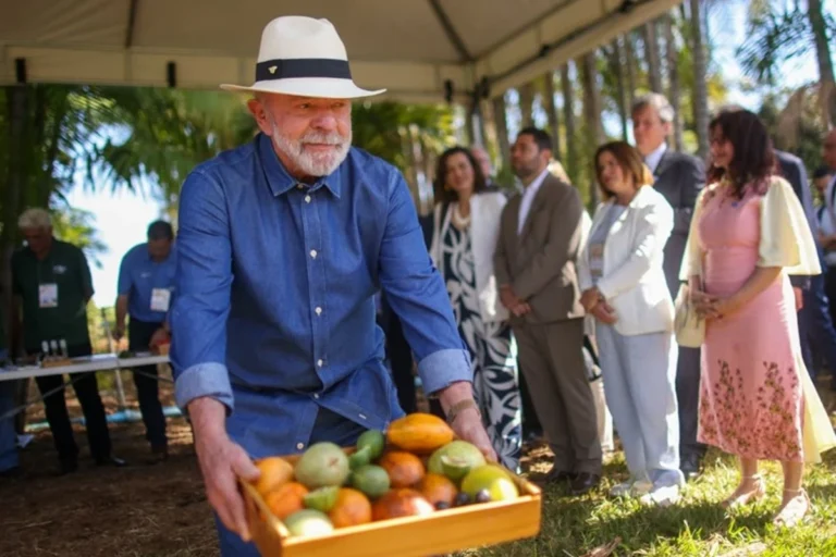 Lula anuncia que vai levar jabuticaba para acalmar Donald Trump