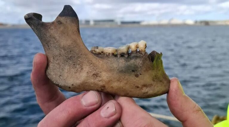 Navio dannebroge é descoberto após 225 anos na costa da Dinamarca