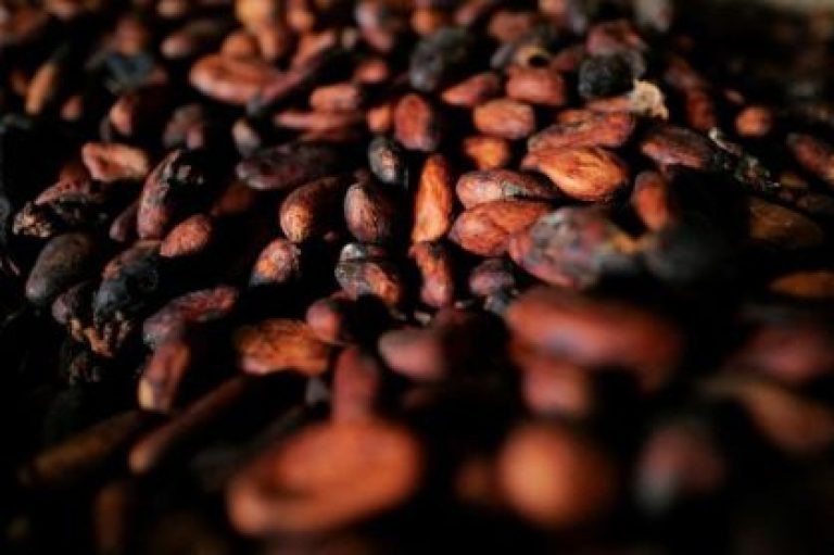 Café e cacau impulsionam alta na bolsa de Nova York em meio a incertezas globais