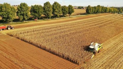 Plantio de milho na Europa sofre impacto de alta nos custos de fertilizantes