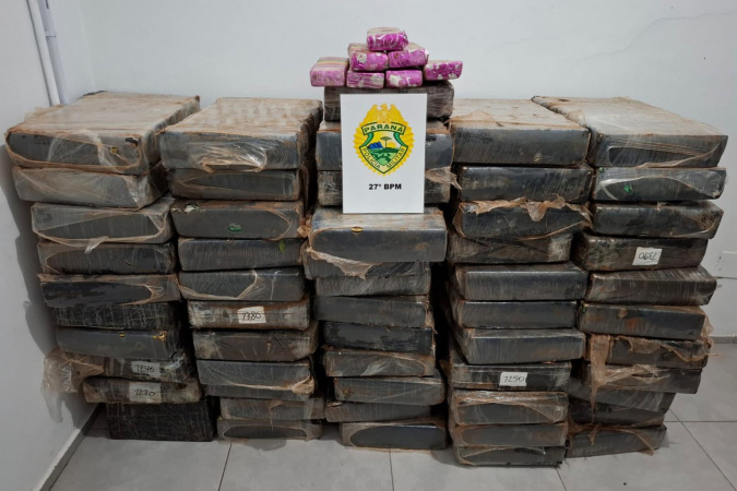 Polícia apreende 759 quilos de maconha em caminhonete na BR-476