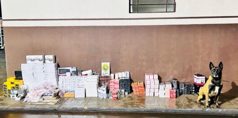 PM apreende R$ 143 mil em mercadorias importadas ilegalmente no Paraná