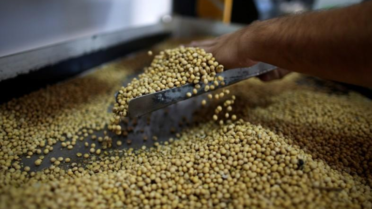 Anec reduz previsão de embarques de soja do Brasil em junho
