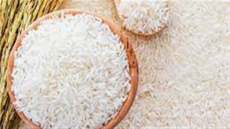 Arroz sustenta segurança alimentar e estabilidade econômica global