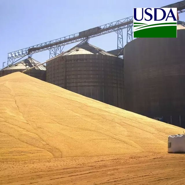 USDA revela estoques de milho dos EUA abaixo do esperado