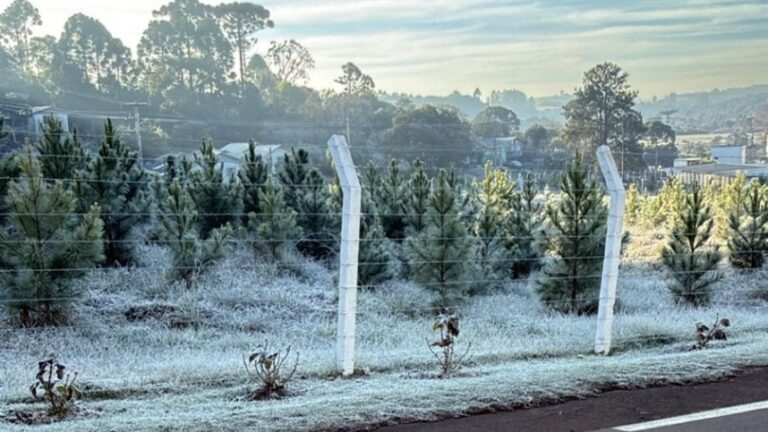 Onda de frio atinge o Sul com geadas e temperaturas negativas