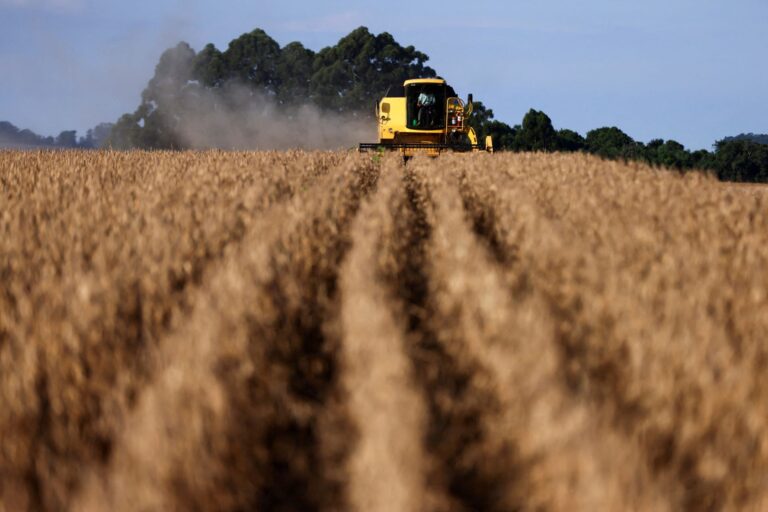 Agricultura negocia incremento de 10% no orçamento da safra 2026/27