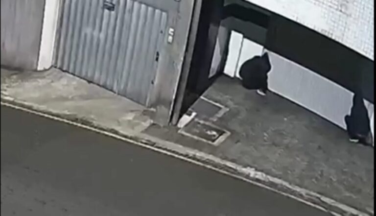 Grupo invade condomínios em Ponta Grossa e furta objetos durante a madrugada