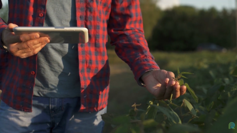 Agricultura digital será chave para produtividade, diz Embrapa