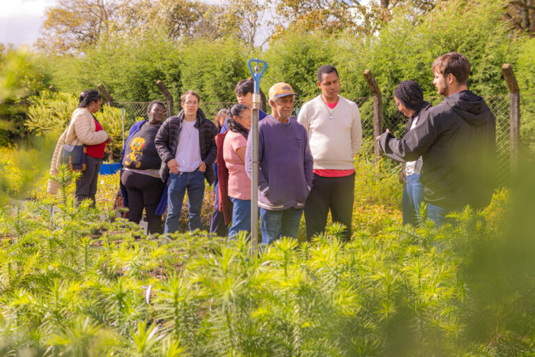 Comunidade quilombola aprende técnicas de cultivo em viveiro da UEPG
