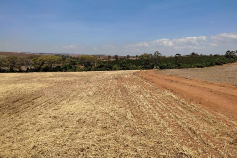 Acre define vazio sanitário e regras contra ferrugem asiática