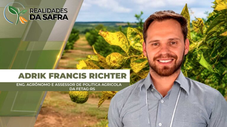 Greening avança no Rio Grande do Sul com primeiros casos confirmados