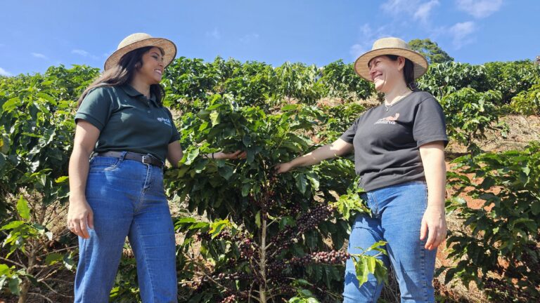 Agricultores familiares triplicam renda com torrefação e venda direta