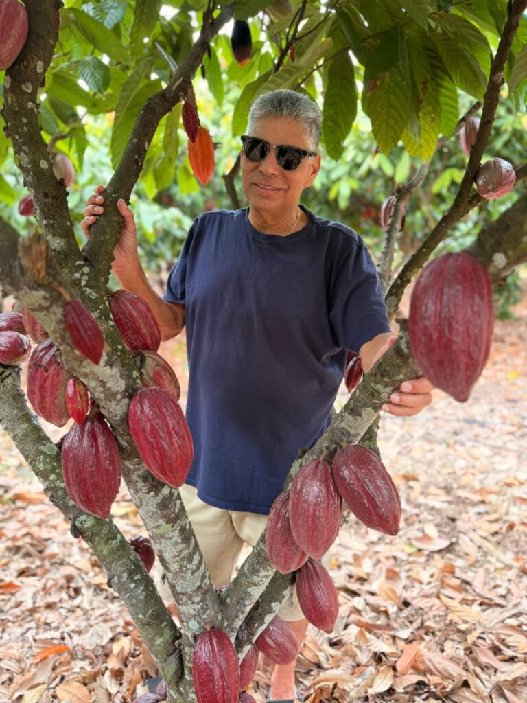 Lei do chocolate marca avanço para produtores de cacau nacional