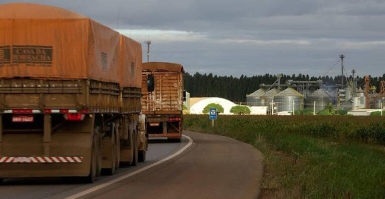 FAEP contesta posição da ANTT sobre uso agrícola em faixa de domínio