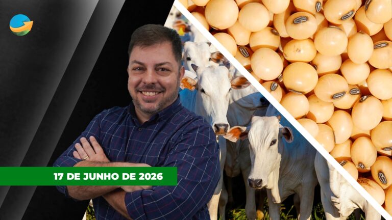 Boi enfrenta pressão nos próximos meses; soja dispara com compras chinesas