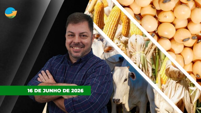 Dinâmica de preços agrícolas dependerá da oferta animal até fim de ano