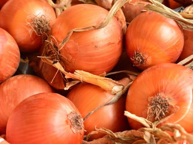 Chuvas no Cerrado elevam preços da cebola e restringem colheita