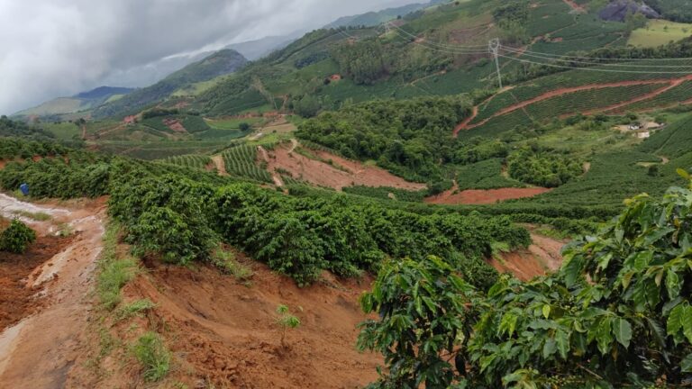 El Niño marca o inverno com desafios climáticos no Brasil