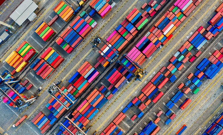 Brasil expande exportação de ovos férteis e conquista novos mercados internacionais