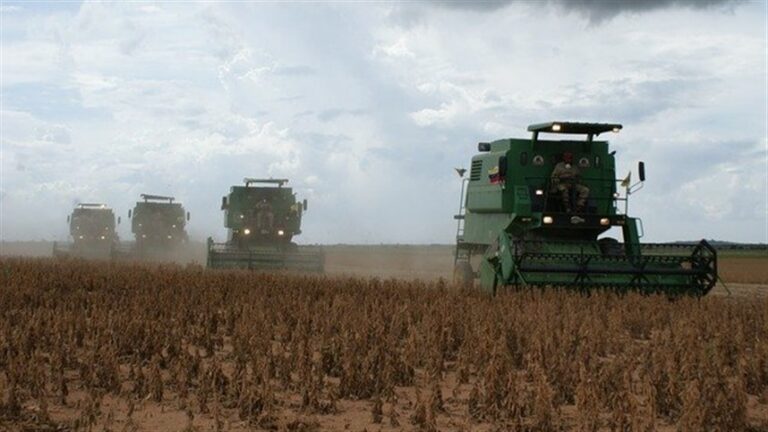 Chuvas intensas prejudicam operações agrícolas no sul argentino