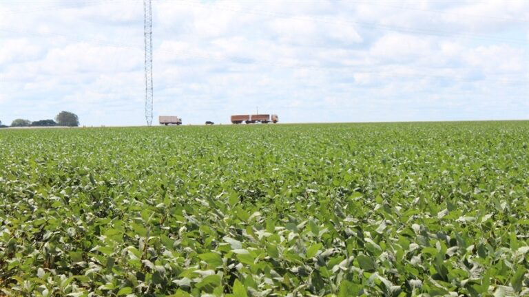 Óxido nítrico ganha espaço no manejo agrícola