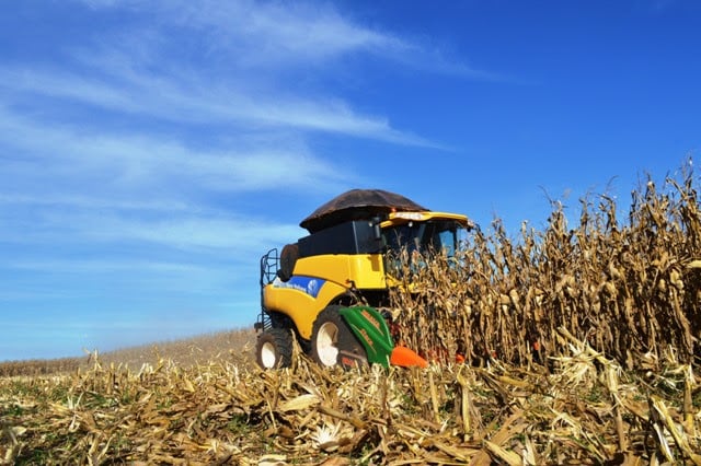 Colheita de milho safrinha avança para 18,8% no Brasil