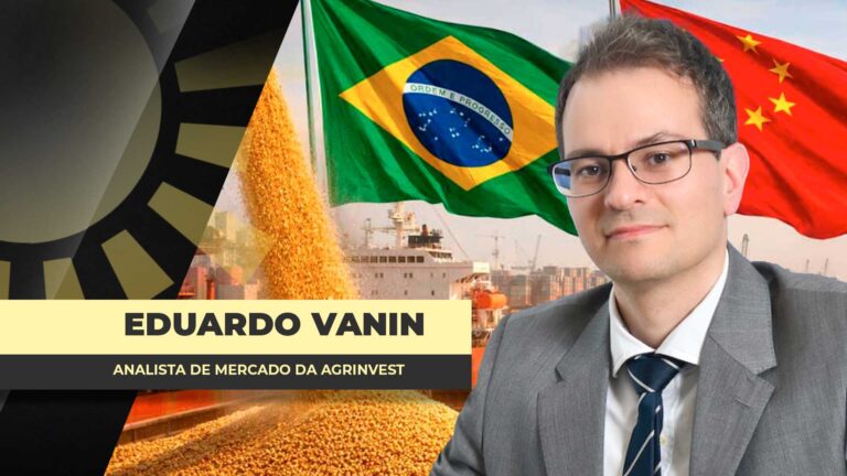 Brasil diversifica destinos de soja além da China