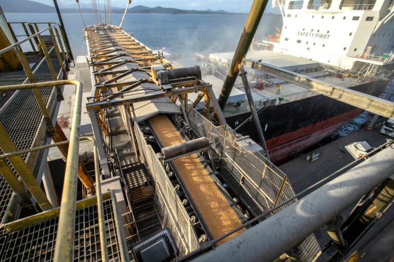 Exportação de milho do Brasil cai 11% na safra 2025/26