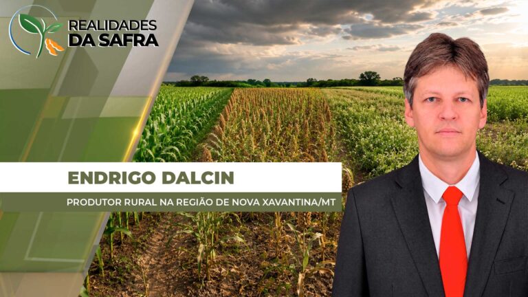 Atraso da soja compromete janela ideal de milho, sorgo e gergelim