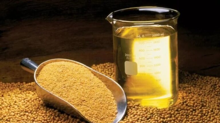 Abiove confirma crescimento do esmagamento de soja em 2026