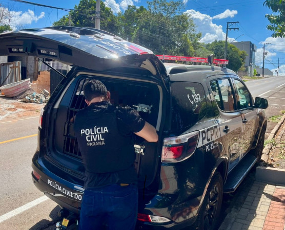 Homem é preso por maus-tratos a seis cães em Francisco Beltrão