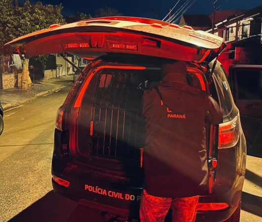 Polícia Civil prende homem e apreende 20 quilos de drogas no Paraná