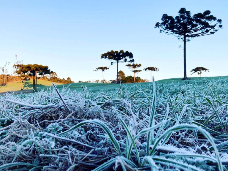 Paraná terá semana de frio intenso e geadas com chegada do inverno