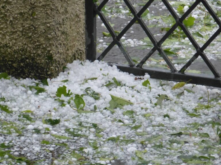 Granizo danifica cafezais em recuperação pós-colheita