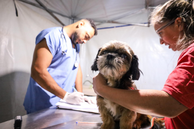 CastraPet atenderá 33 mil animais em 21 municípios do Paraná