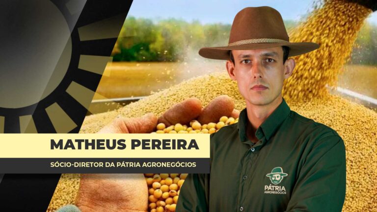 Prêmios da soja mantêm equilíbrio nos preços internos