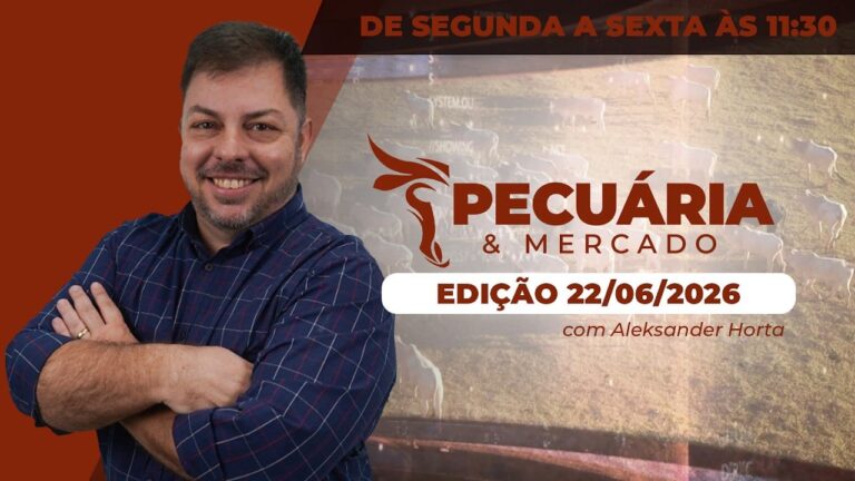 Pressão sobre arroba do boi deve continuar em julho e agosto