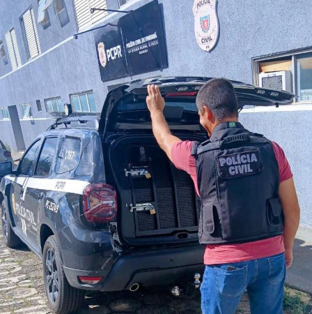 Homem é preso por violar medida protetiva em Jaguariaíva