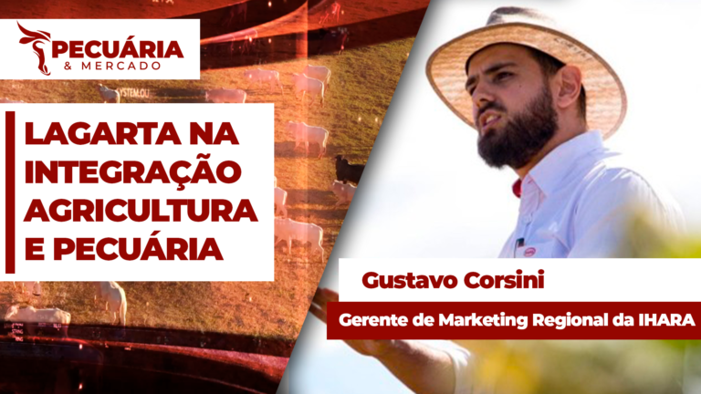 Lagartas em pastagens: de risco pontual a ameaça estrutural