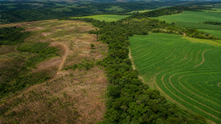 Programa Caminho Verde Brasil é apresentado em fórum internacional do agro