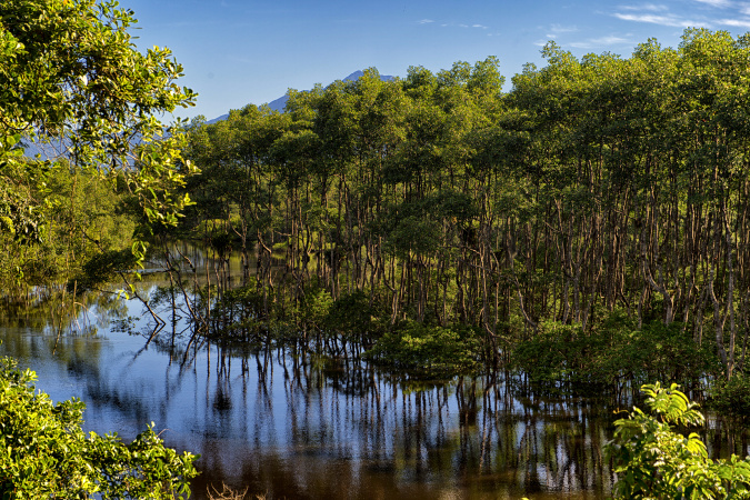 Parques estaduais do Paraná celebram aniversários e reforçam papel ambiental