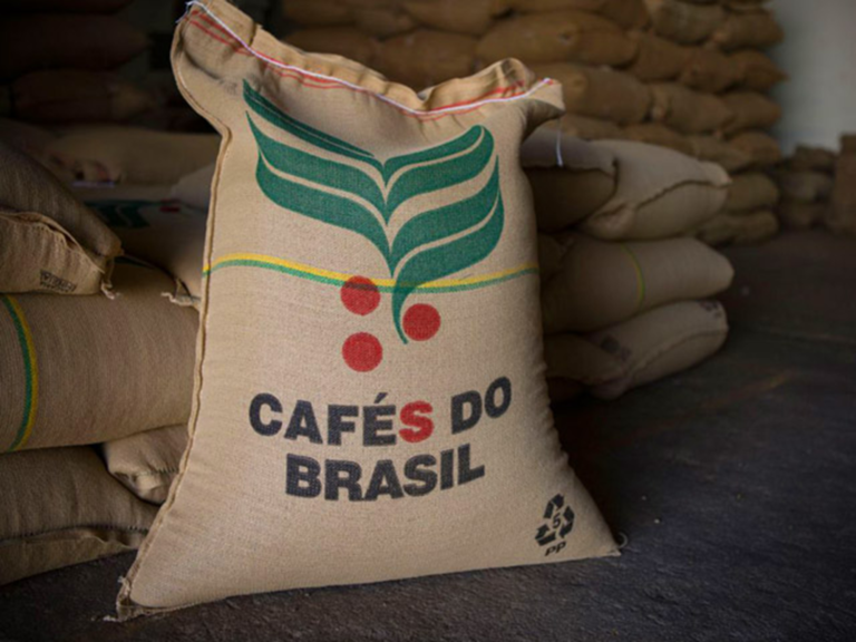 Café abre quinta com mercado atento à colheita brasileira