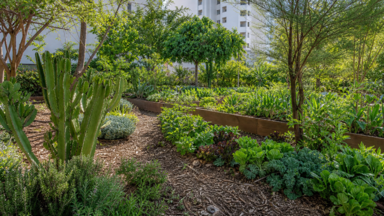 Sistemas agroecológicos com quatro biomas inaugurados em Brasília