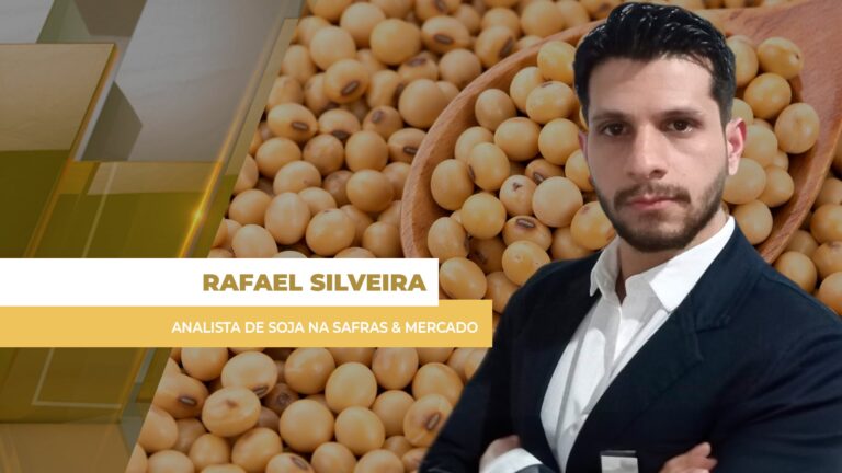 Soja cai em Chicago, mas dólar alto sustenta mercado brasileiro